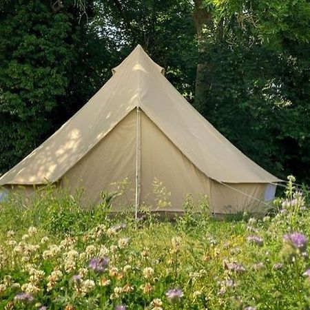 'T Schaaphof Tent En Ontbijt Hotel Deinze Ngoại thất bức ảnh